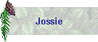 Jossie