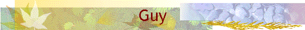 Guy