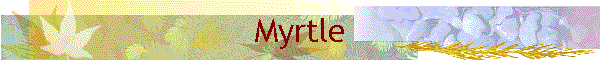 Myrtle