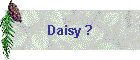 Daisy ?